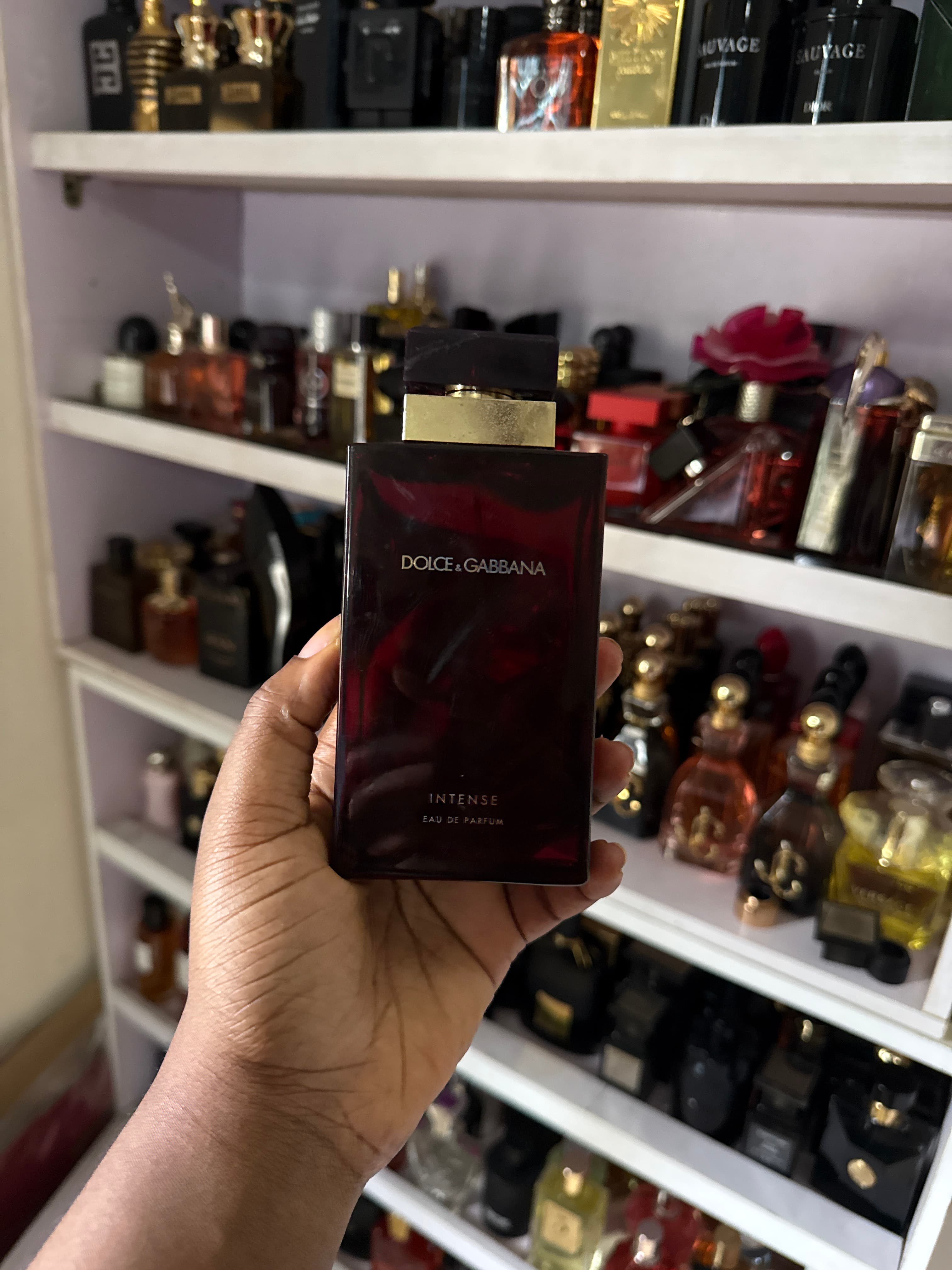D&G intense EDP