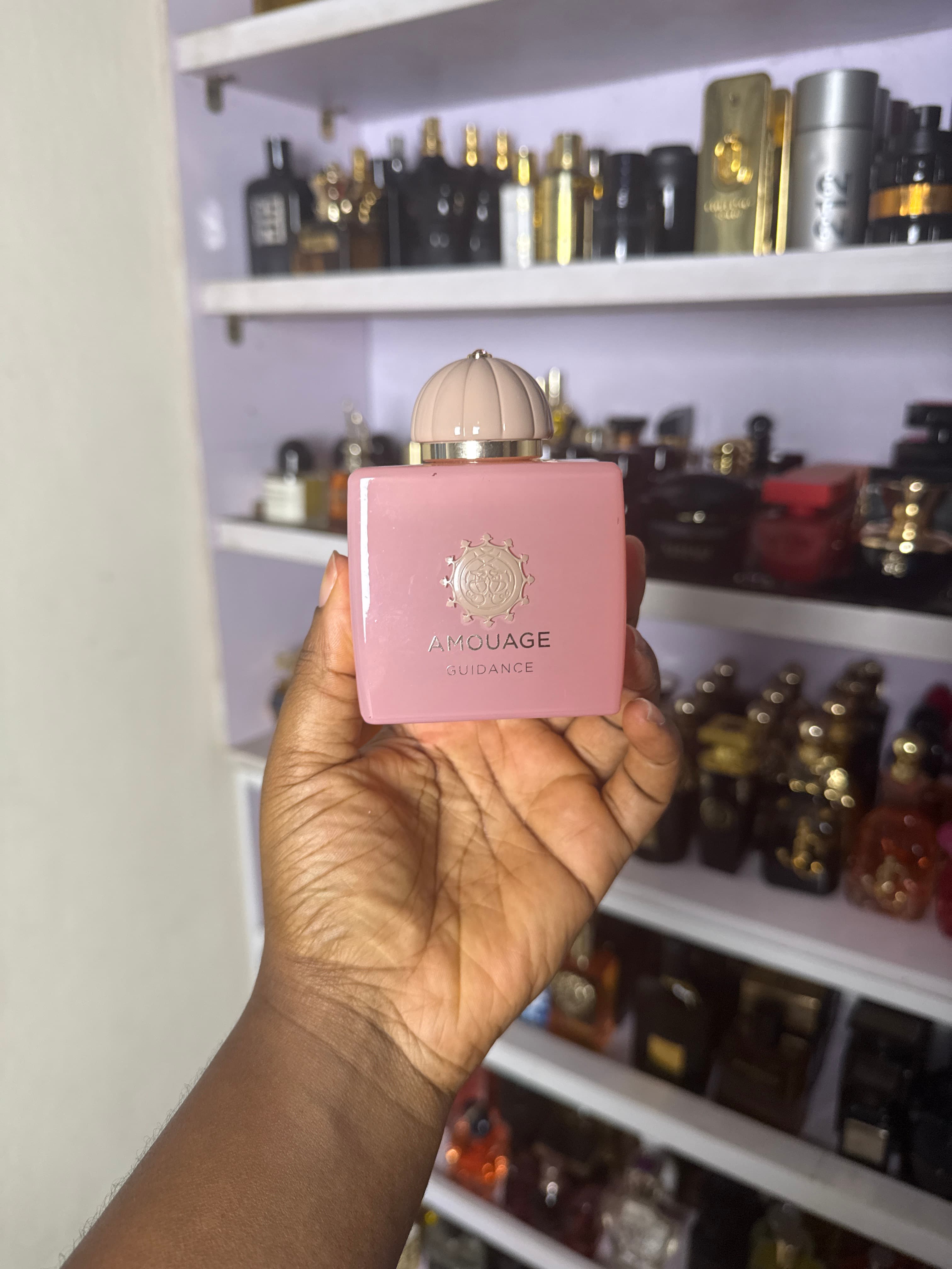 Amouage Guidance